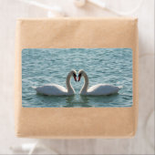 Zwei Schwäne (Insitu)