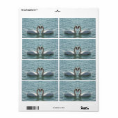 Zwei Schwäne (Vorne)