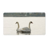 Zwei Schwäne (Vorne)