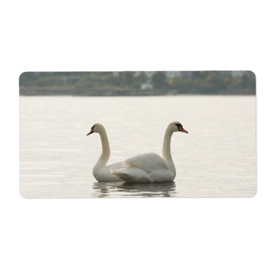 Zwei Schwäne (Vorne)