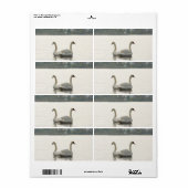 Zwei Schwäne (Vorne)