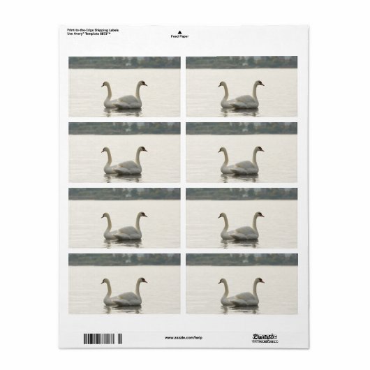 Zwei Schwäne (Vorne)