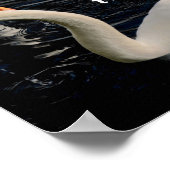 Zwei Schwäne am See Poster (Ecke)