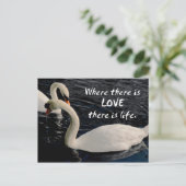 Zwei Schwäne am See Postkarte (Stehend Vorderseite)
