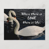 Zwei Schwäne am See Postkarte (Vorderseite)