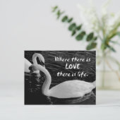 Zwei Schwäne am See Postkarte (Stehend Vorderseite)