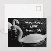 Zwei Schwäne am See Postkarte (Vorne/Hinten)