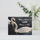 Zwei Schwäne am See Postkarte (Stehend Vorderseite)