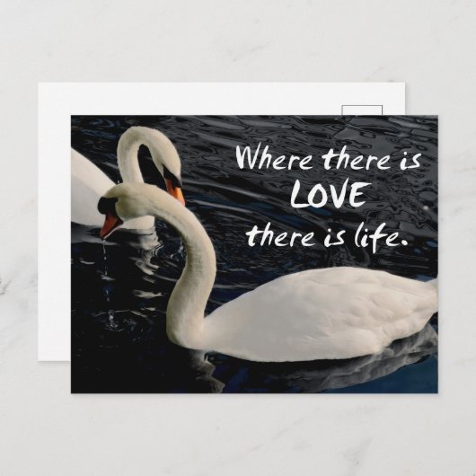 Zwei Schwäne am See Postkarte (Vorne/Hinten)