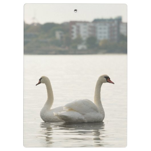 Zwei Schwäne Klemmbrett (Rückseite)