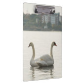 Zwei Schwäne Klemmbrett (Rechts)