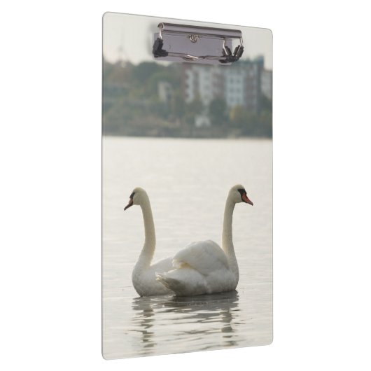 Zwei Schwäne Klemmbrett (Rechts)