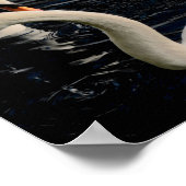 Zwei Schwäne Poster (Ecke)