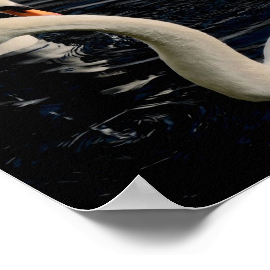 Zwei Schwäne Poster (Ecke)