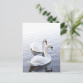Zwei Schwäne Postkarte (Stehend Vorderseite)