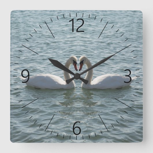 Zwei Schwäne Quadratische Wanduhr (Vorderseite)