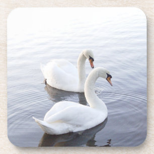 Zwei Schwäne schwimmen am ruhigen See Getränkeuntersetzer