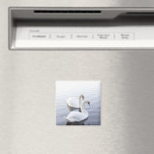 Zwei Schwäne schwimmen am ruhigen See Magnet (In Situ (Geschirrspüler))