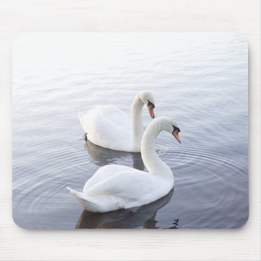 Zwei Schwäne schwimmen am ruhigen See Mousepad (Vorne)