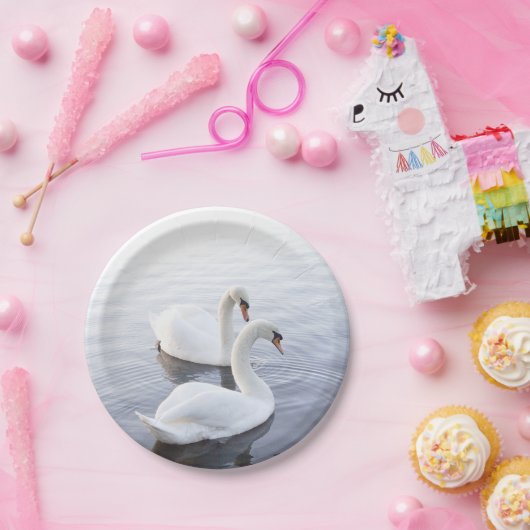 Zwei Schwäne schwimmen am ruhigen See Pappteller (Party)