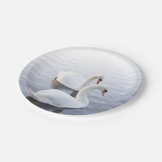 Zwei Schwäne schwimmen am ruhigen See Pappteller (Schrägansicht)