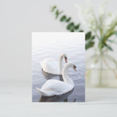 Zwei Schwäne schwimmen am ruhigen See Postkarte (Stehend Vorderseite)