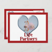 Zwei Schwäne schwimmen mit dem Text "Life Partners Postkarte (Vorne/Hinten)