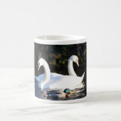 Zwei Schwäne und eine Ente Kaffeetasse (Mittel)