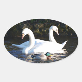 Zwei Schwäne und eine Ente Ovaler Aufkleber
