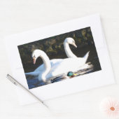 Zwei Schwäne und eine Ente Rechteckiger Aufkleber (Umschlag)