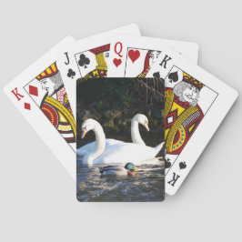 Zwei Schwäne und eine Ente Spielkarten