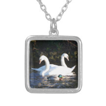 Zwei Schwäne und eine Ente