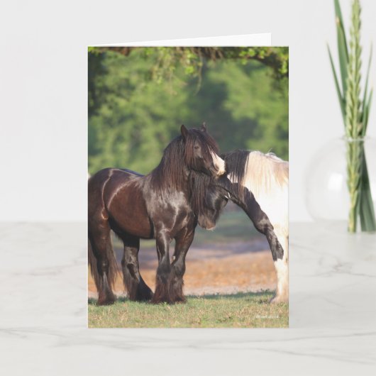 Zwei Schwarz-Weiß-Sinti und Roma-Vanners-Treffen Karte (Vorderseite)