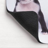 Zwei schwarz-weiße Welpen Mousepad (Ecke)