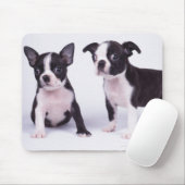 Zwei schwarz-weiße Welpen Mousepad (Mit Mouse)