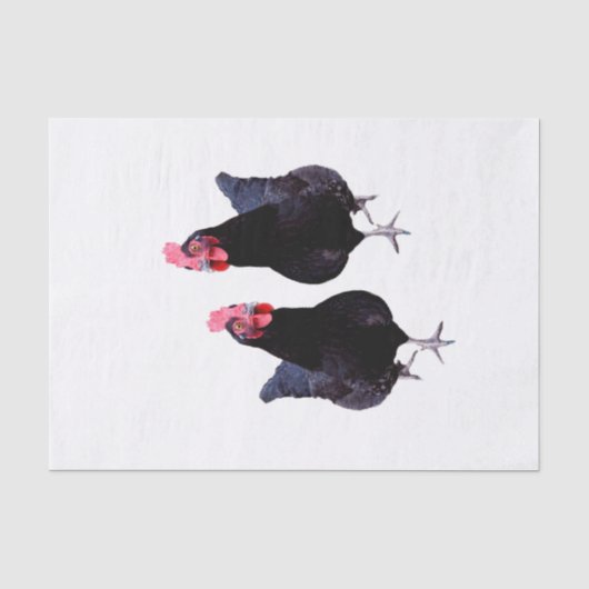 Zwei schwarze Hühner, Seidenpapier (Vorderseite)