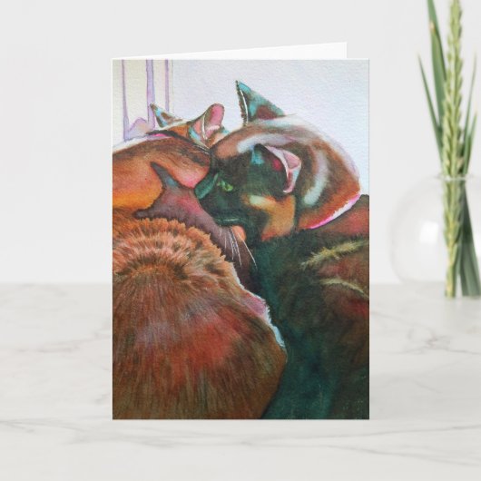 Zwei schwarze Katzen auf dem Windows Karte (Vorderseite)