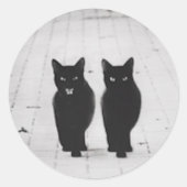 Zwei schwarze Katzen Aufkleber Set (Vorderseite)