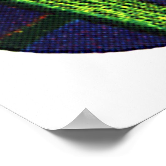 Zwei schwarze Katzen Poster (Ecke)