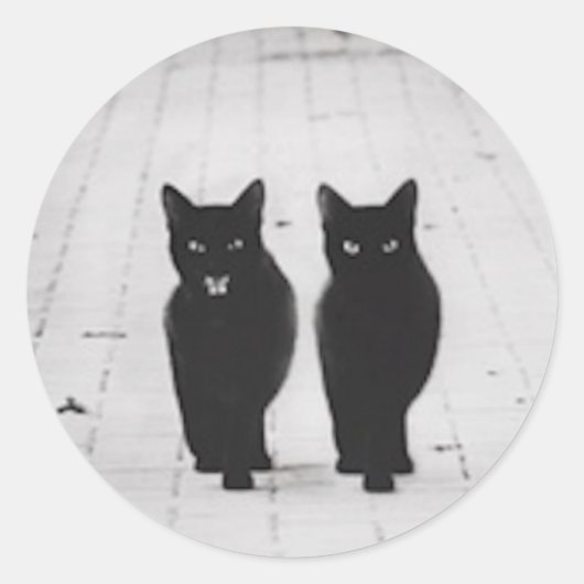 Zwei schwarze Katzen Sticker Set (Vorderseite)