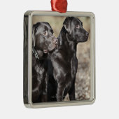 Zwei schwarze Labrador-Retriever Silbernes Ornament (Rechts)