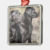 Zwei schwarze Labrador-Retriever Silbernes Ornament (Links)