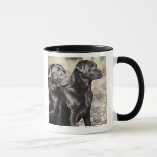 Zwei schwarze Labrador-Retriever Tasse