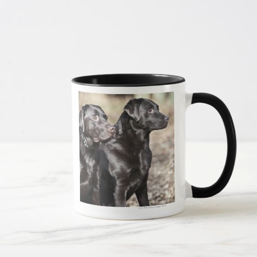 Zwei schwarze Labrador-Retriever Tasse (Rechts)