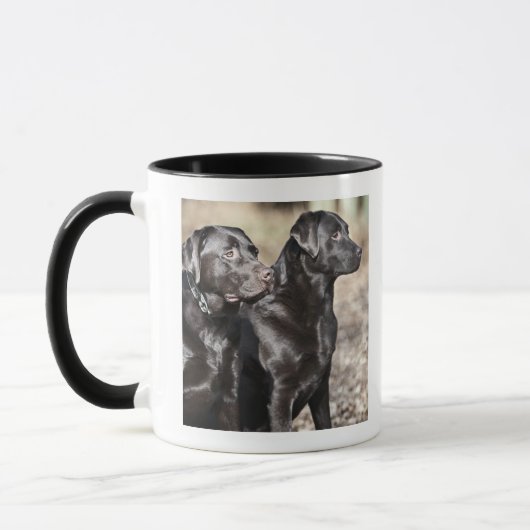 Zwei schwarze Labrador-Retriever Tasse (Links)