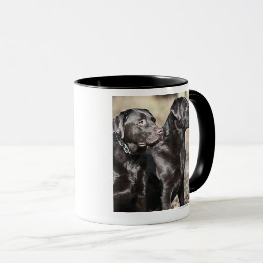 Zwei schwarze Labrador-Retriever Tasse (VorderseiteRechts)
