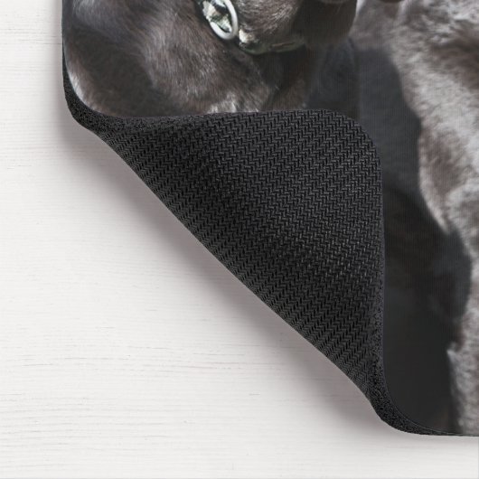 Zwei Schwarze Labrador Retrievers Mousepad (Ecke)