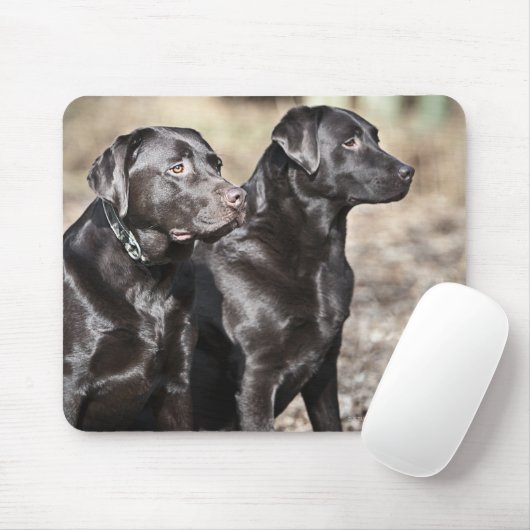 Zwei Schwarze Labrador Retrievers Mousepad (Mit Mouse)