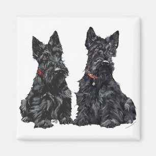 Zwei schwarze schottische Terrier Magnet