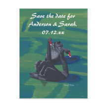 Zwei schwarze Schwäne schwimmen Save the Date Post